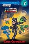 Catch Catwoman! DC Super Friends