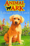 Labrador On The Lawn
