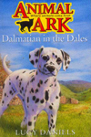 Dalmatian In The Dales