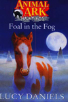 Foal In The Fog