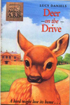 Deer On The Drive