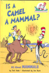 Is A Camel A Mammal?