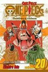 One Piece 20