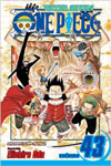 One Piece 43