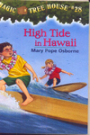 High Tide in Hawaii