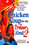 Chicken Soup for the Preteen Soul 2