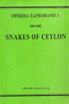 Ophidia Taprobanica Or The Snakes of Ceylon
