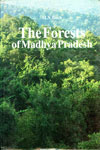 The Forests Of Madhya Pradesh 