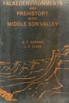 Palaeoenvironments And Prehistory In The Middle Son Valley