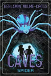 The Caves: Spider