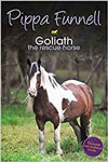 Goliath the Rescue Horse