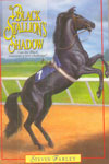 The Black Stallion's Shadow