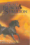 The Young Black Stallion - A wild and untamable spirits!
