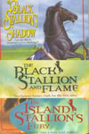 Black Stallion Series - A Set of 15 Books 