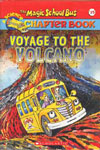 15. Voyage To The Volcano