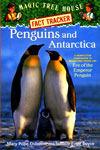 Penguins and Antarctica