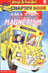 12. Amazing Magnetism
