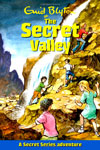 A Secret Series Adventure by Enid Blyton 6 Books