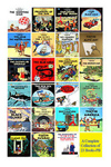 Tintin Comics Paperback - A Set of  23 Books