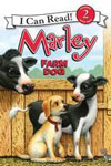 Marley Farm Dog 
