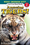 Amazing Tigers! 